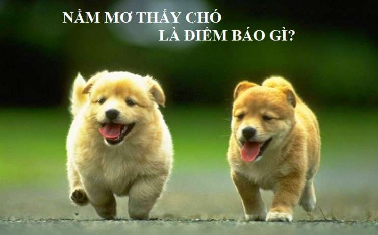 Hãy cùng xem qua cổng thông tin G6bet Games - G6bet