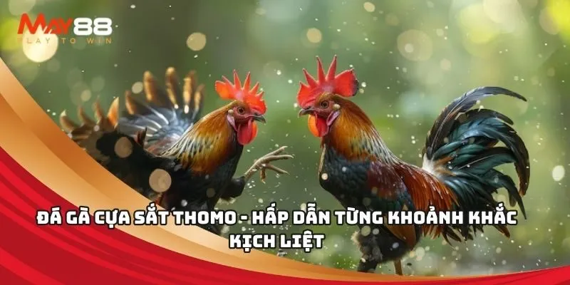 Trang web máy đánh bạc tích điểm Abcvip miễn phí 50 - Abcvip