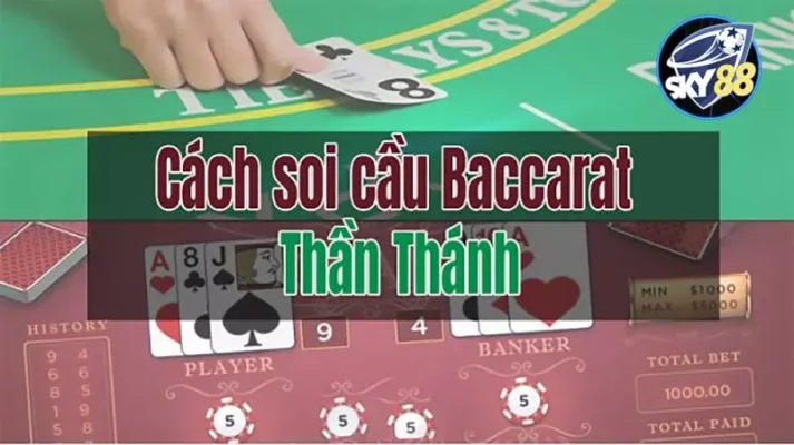 Tổng quan về một số hoạt động quảng bá phổ biến nhất của M88 - M88