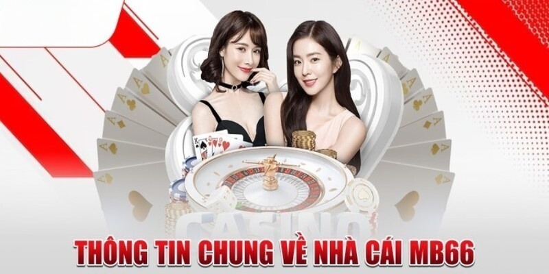 Trang web chơi game máy đánh bạc trực tuyến xếp hạng 13Win tốt nhất năm 2026 - 13Win