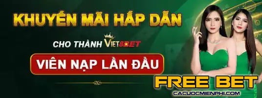 Ví True Wallet Vl88 đảm bảo an toàn - Vl88