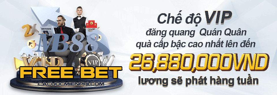 Các hoạt động quảng bá của Kimsa nhằm mục đích gì? - Kimsa