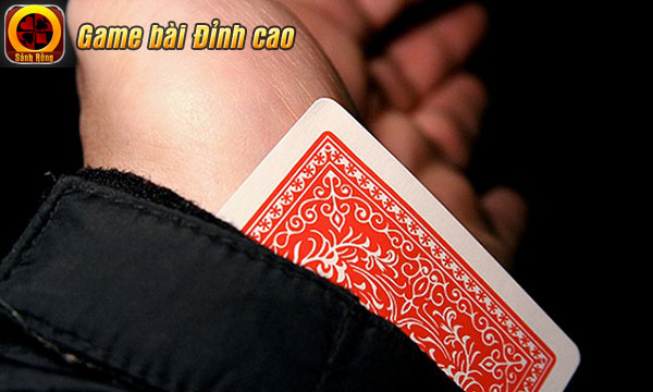 Soco88 là một nền tảng trò chơi trực tuyến hàng đầu - Soco88