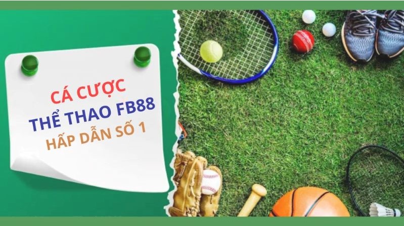 97Win Plus – Thanh toán siêu nhanh, hoàn toàn an toàn - 97Win