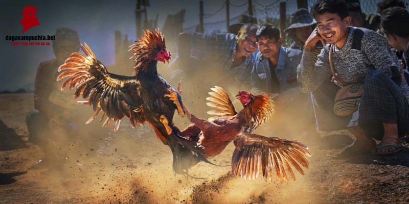 Đánh giá những ưu điểm của TV Bancah5 - Bancah5