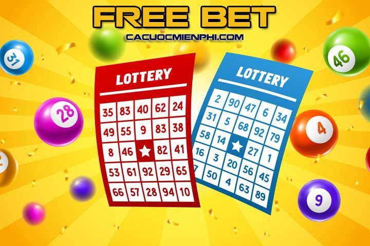 Mibet cung cấp các sản phẩm game công bằng và minh bạch - Mibet