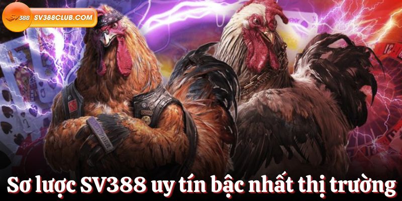 Giới thiệu Giải thưởng Công bằng Xanh 13Win - 13Win