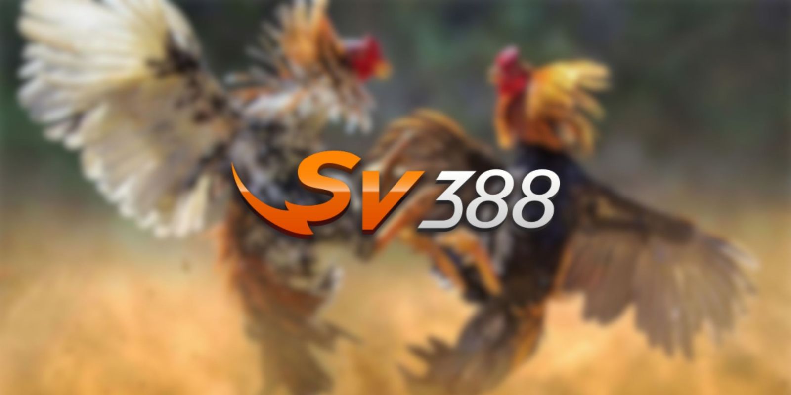 Hướng dẫn đăng ký và tạo tài khoản trên trang web game Sun52 - Sun52