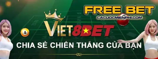 Tổng quan về kế hoạch quảng bá K8cc - K8cc