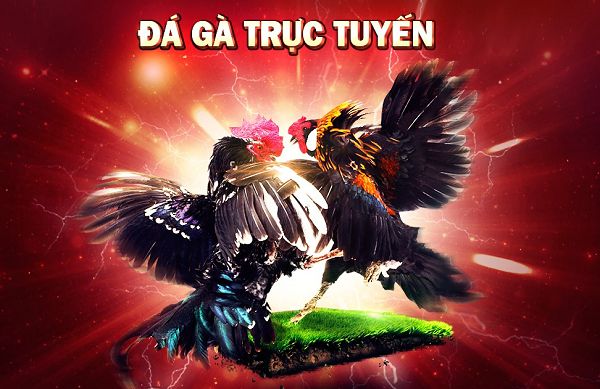 Những điều cần lưu ý khi tải ứng dụng game xếp hạng Soco88 về điện thoại của bạn - Soco88