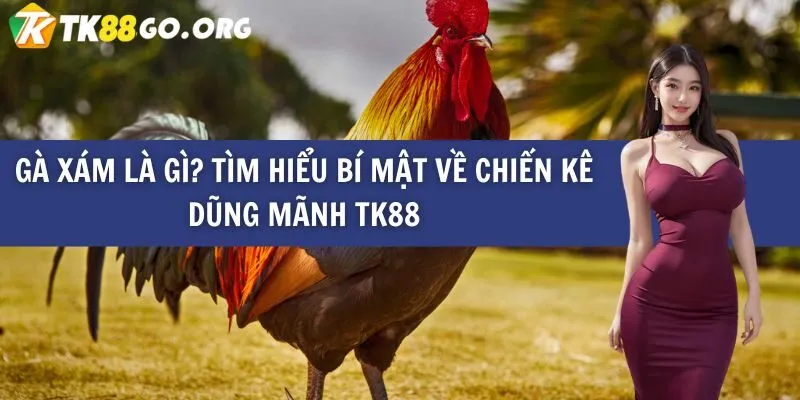 Phơi bày những hành vi gian lận và phương thức thanh toán tiền thưởng thiếu minh bạch của Xo88 - Xo88