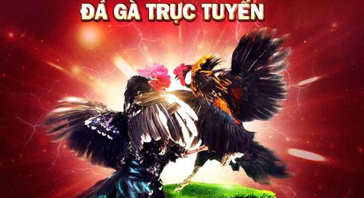 Khuyến nghị khi sử dụng H3bet - H3bet