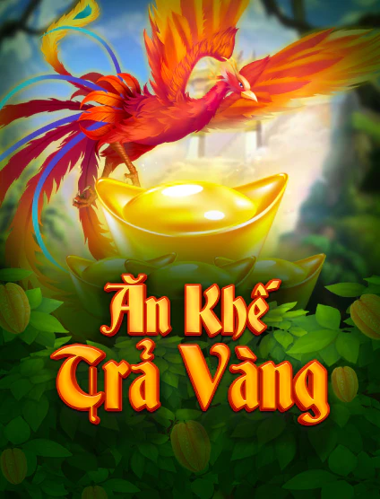 Đánh giá tổng quan về dịch vụ của Dp568 - Dp568
