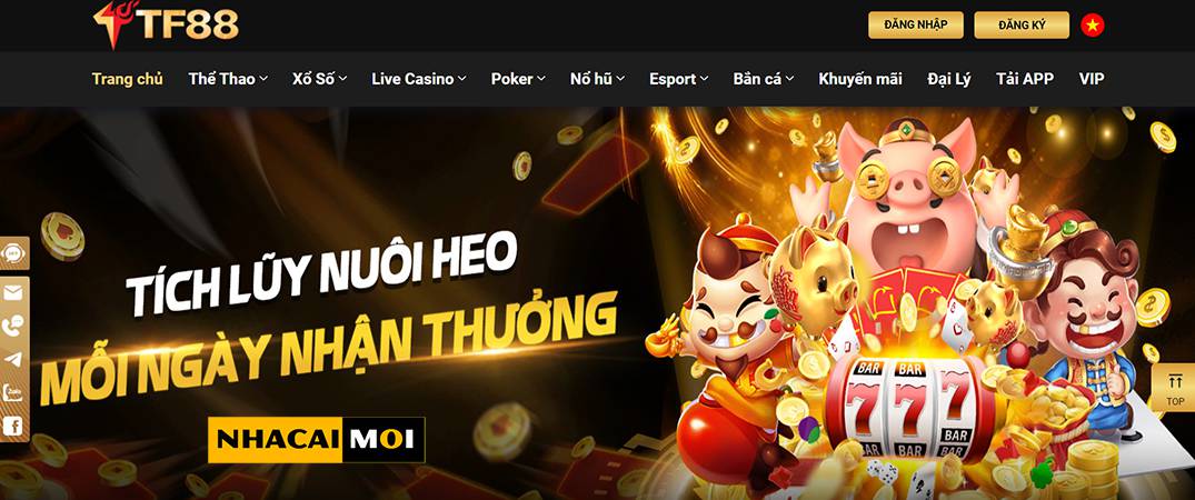 Tóm tắt W88 và các câu hỏi thường gặp - W88