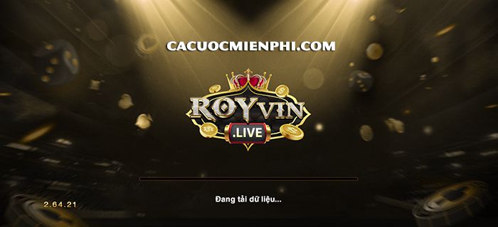 Bạn nên làm gì khi hệ thống 11Vn gặp trục trặc hoặc cần bảo trì? - 11Vn